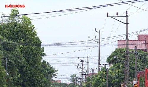 Nguy hiểm rình rập do vi phạm hành lang lưới điện